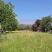 Teren intravilan 2453 mp de vanzare in Brebu